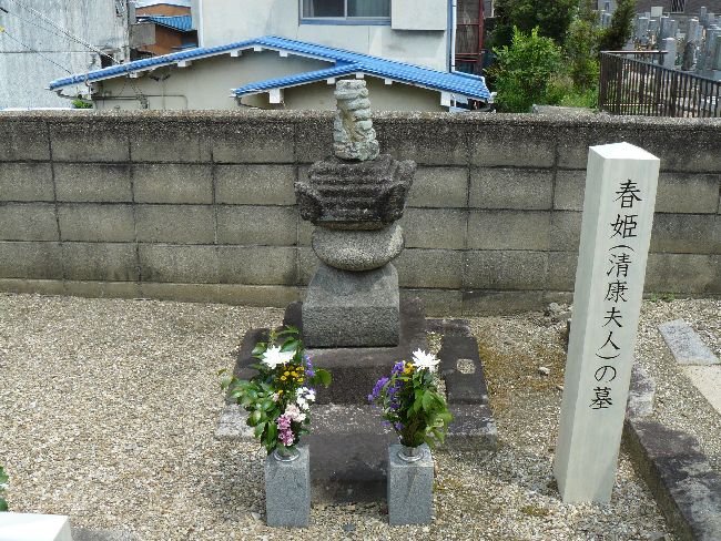 �E�ʎR��ю�