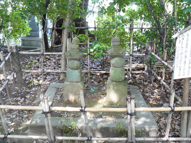 �H�c����񎙂̕�