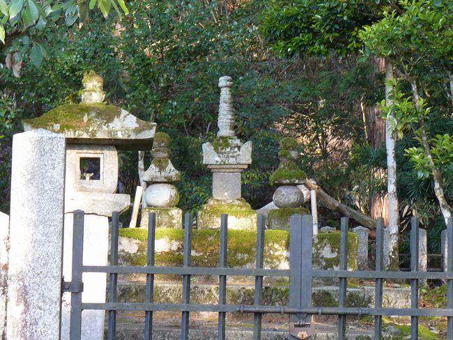 �됬�e����