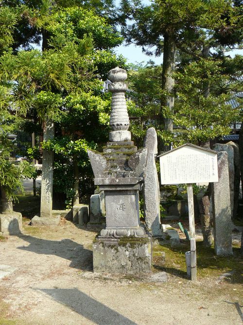 �V���R�q����