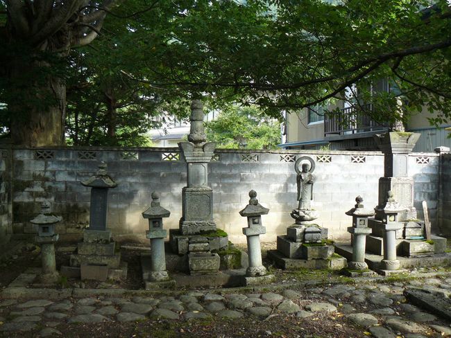 �e���R������