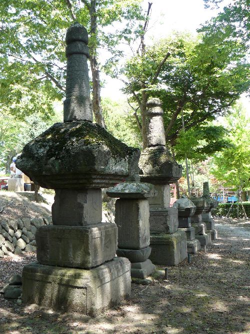 ��z�R�P����