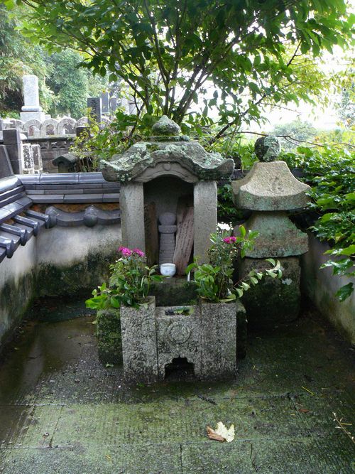 �v�c��Ꟃ̕�F��Y����