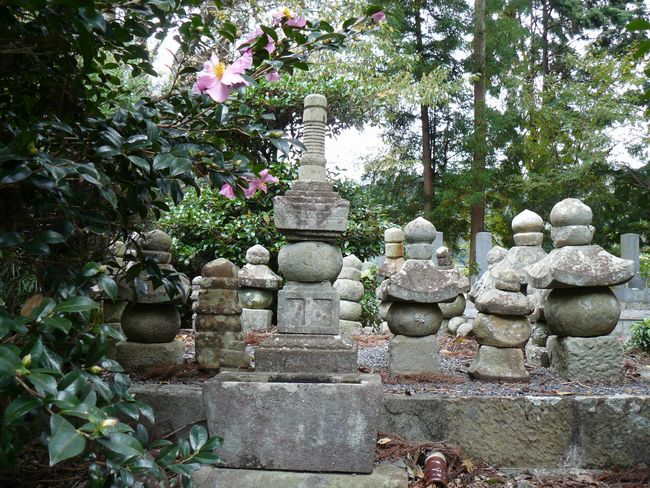 �ˉ_�R�c����