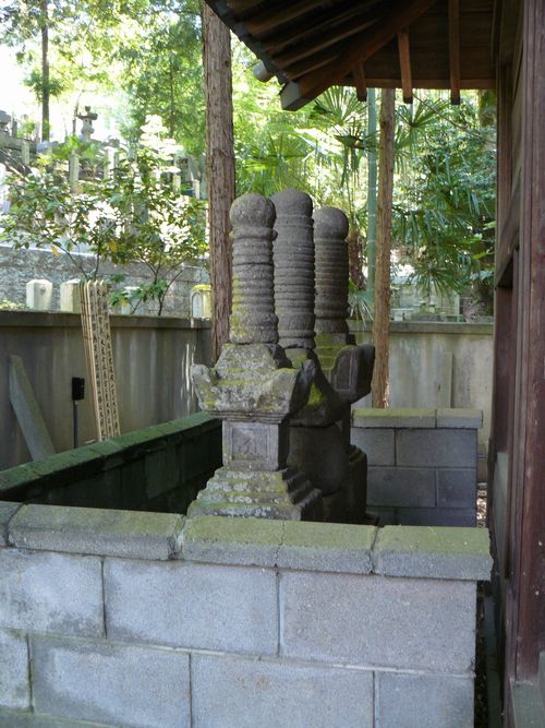 ���N�R���